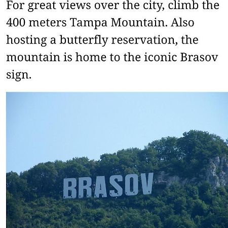 Maya'S Apartament Brasov Apartment Ngoại thất bức ảnh